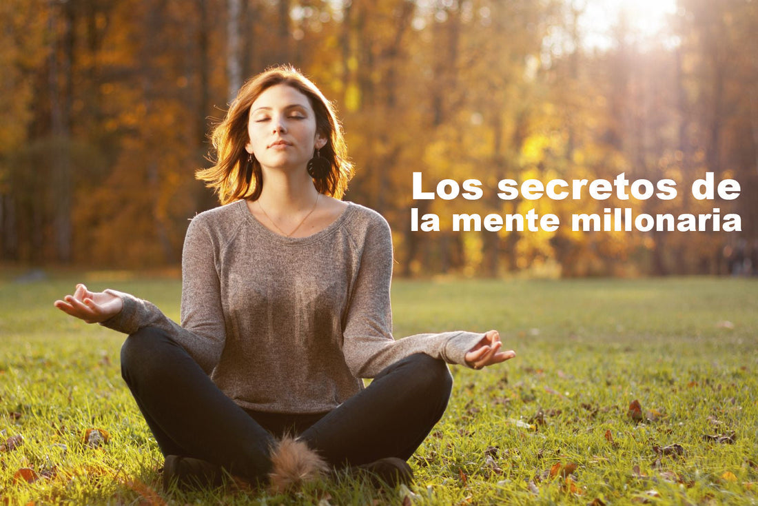Los secretos de la mente millonaria
